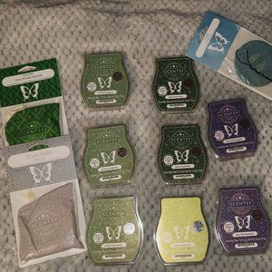 Scentsy 11 PC lot black-and-white forest pint, icicles and evergreen, and more